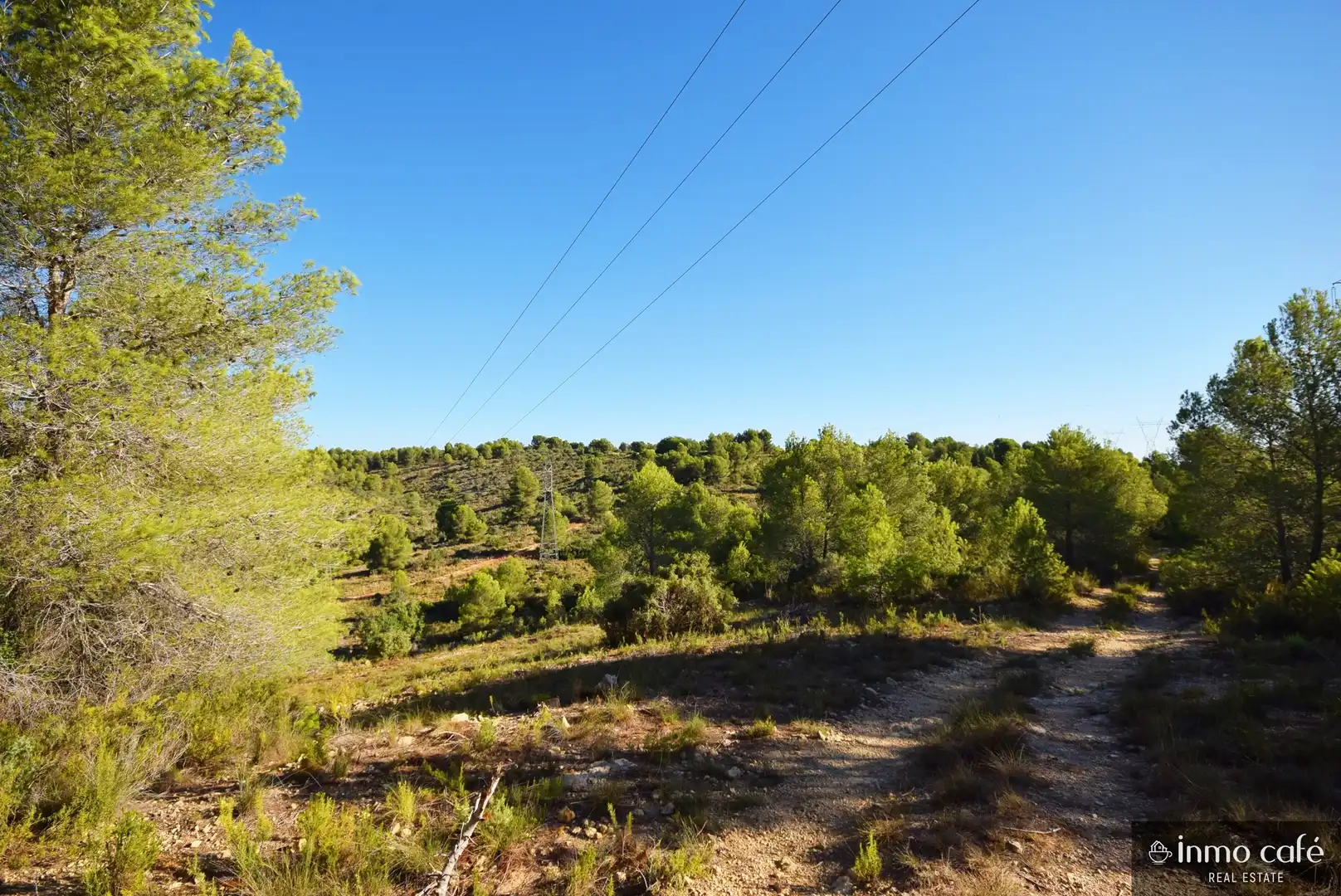 Terreny rústic en venda a L'Alcúdia de Crespins, imagen 18