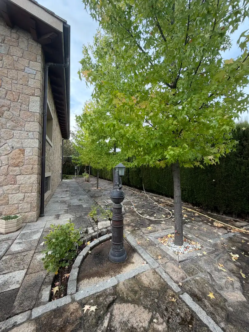 Chalet con piscina en venta en Centro - Manguilla, imagen 81