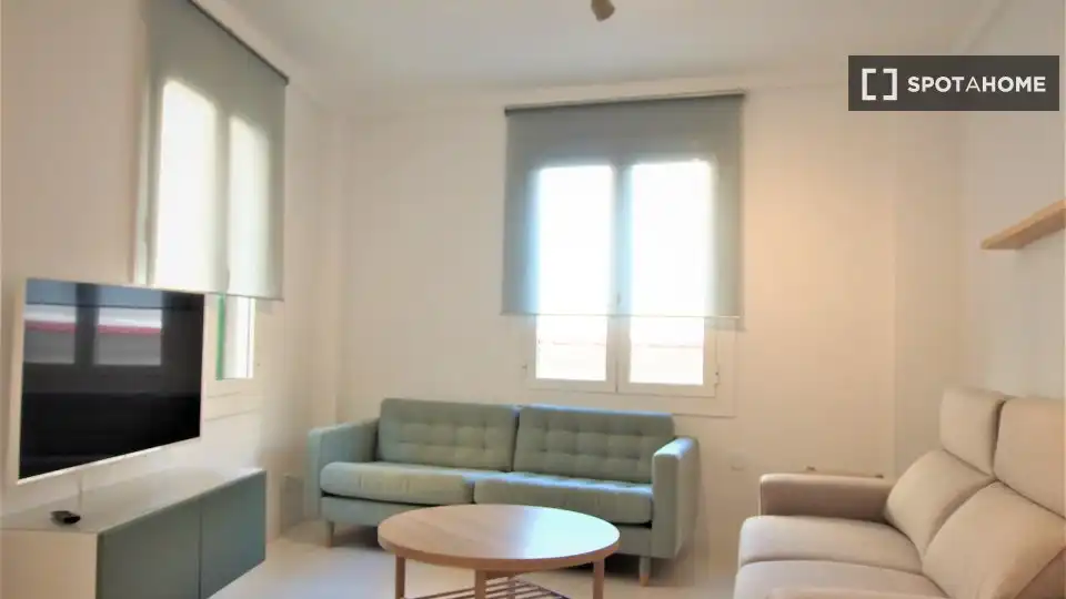 Living room of Apartments for share in Alicante / Alacant  with Air Conditioner, Terrace and Furnished