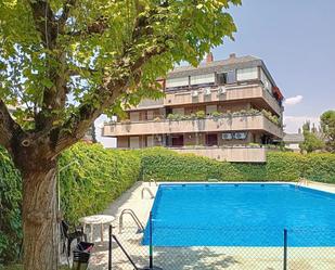 Swimming pool of Flat for sale in  Madrid Capital  with Private garden, Terrace and Swimming Pool