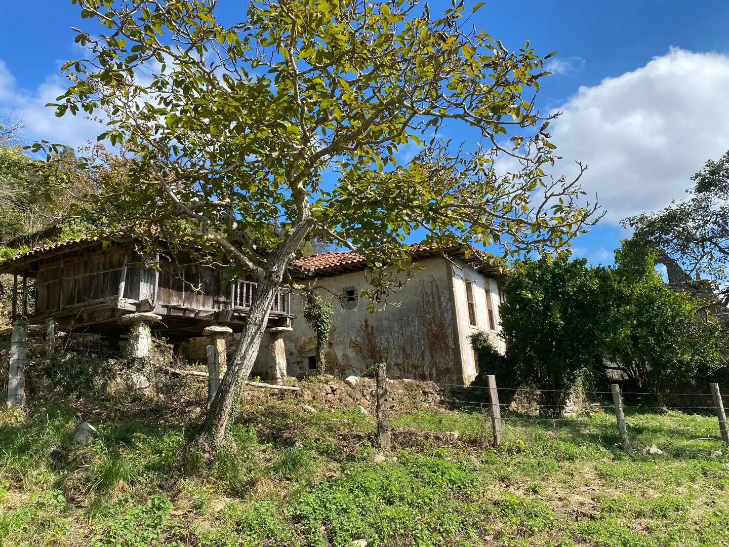 Maison avec jardin à vendre à Tresmonte, imagen 75