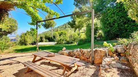 Maset ecológico con vistas espectaculares en Freginals, imatge 4