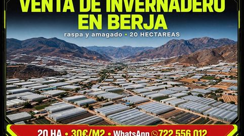 VENTA DE INVERNADERO DE 20 HECTAREAS EN BERJA.