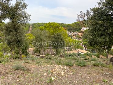 Terreni e lotti in vendita a Carrer d'Ausiàs March