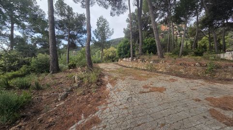 Terreno en Begues, imatge 3