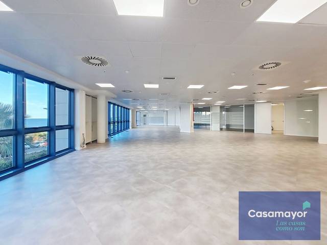 Oficina en Alquiler en Palmeral