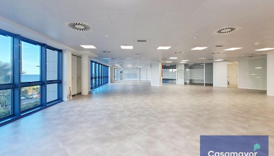Foto 1 de Oficina de lloguer a Palmeral, Alicante