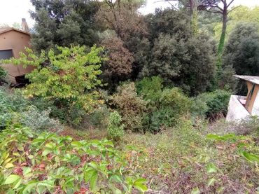 Terreno residenziale in vendita a Carrer Llinars