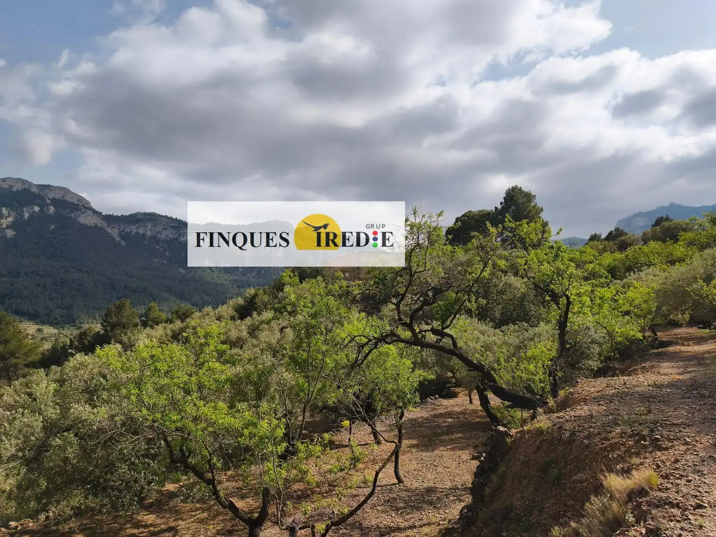 Casa en venta en Alfara de Carles, imagen 21