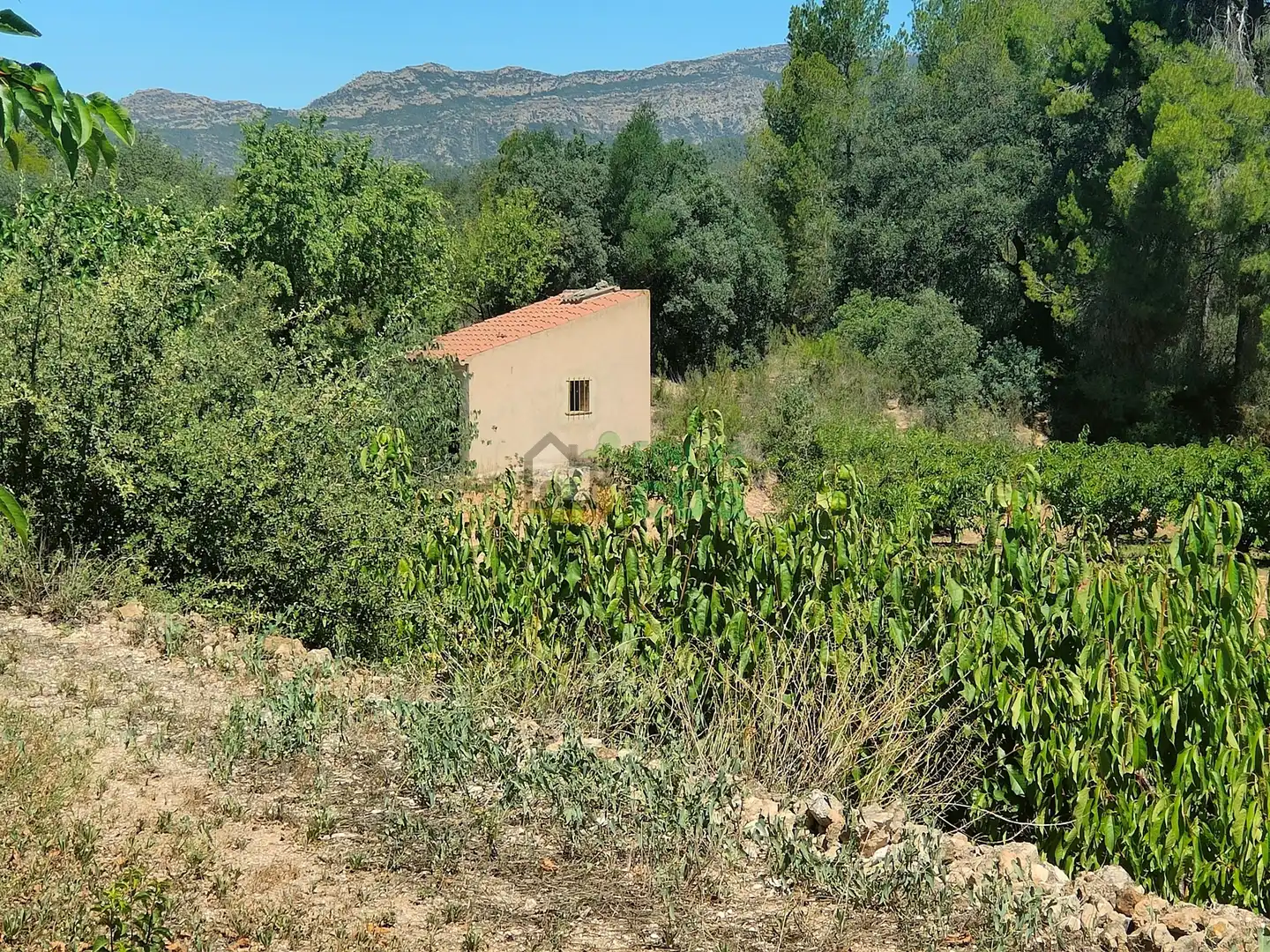 Land for sale in Garcia
