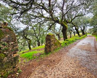 Exterior view of Land for sale in Castaño del Robledo