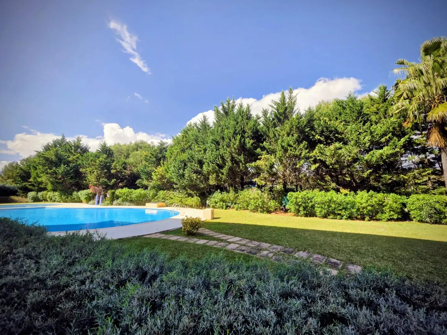 Piscina de Planta baixa en venda en  Palma de Mallorca amb Calefacció, Jardí privat i Terrassa