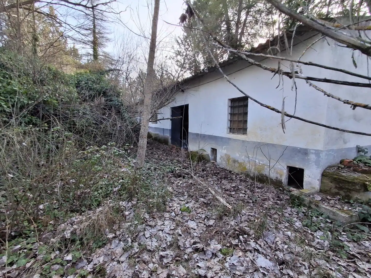 Houses for rent in Pezuela de las Torres