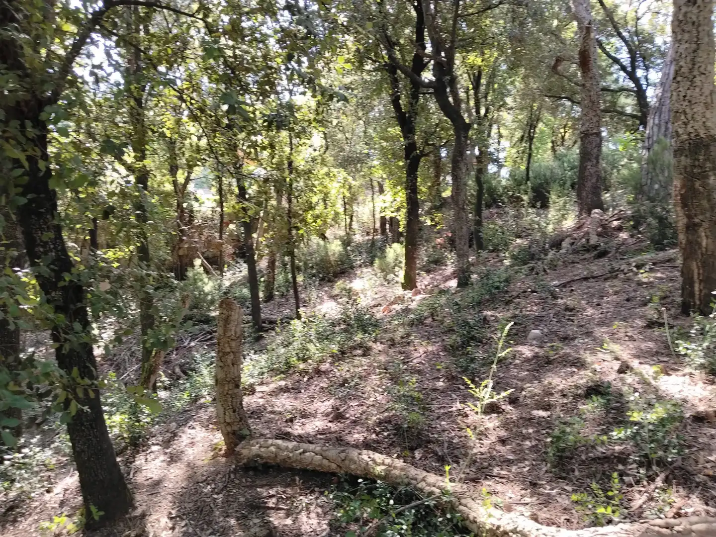 Wohnbaugrundstück zum Verkauf in Urbanització Boscos Montnegre