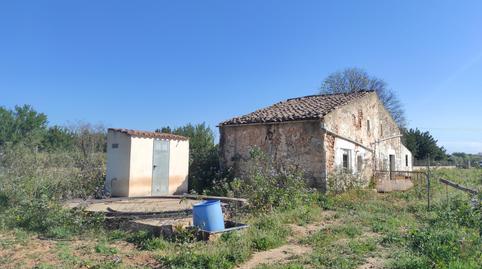 Foto 4 de Finca rústica en venda a Diseminado Poligono 10, 155, Zona Periurbana, Illes Balears