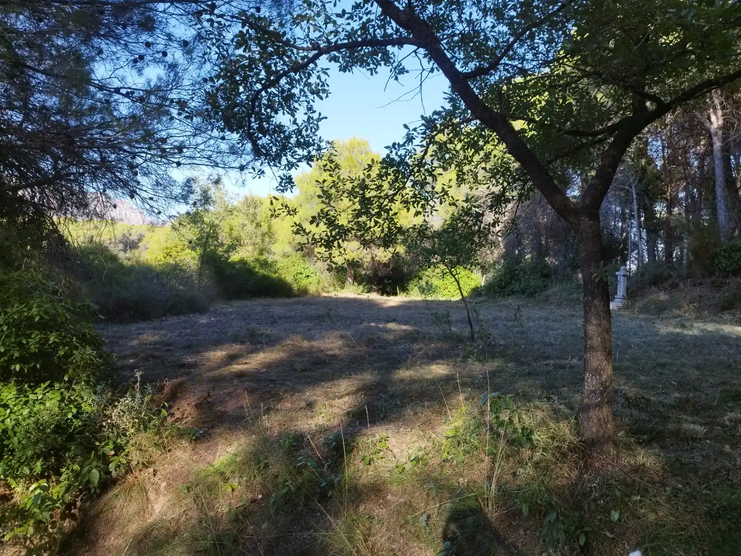 Terreny rústic de lloguer a Els Hostalets de Pierola, imagen 15