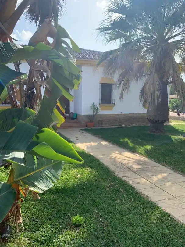 Jardí de Casa o xalet en venda en Hinojos amb Aire condicionat, Calefacció i Jardí privat