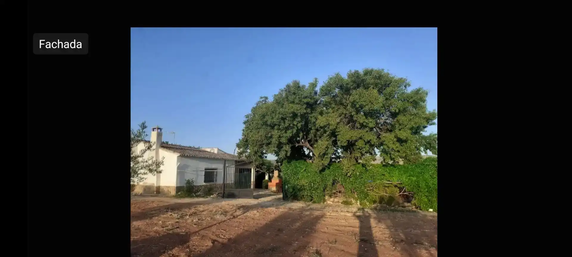 Finca rústica en venda en Santa Cruz de Mudela amb Jardí privat, Traster i Piscina