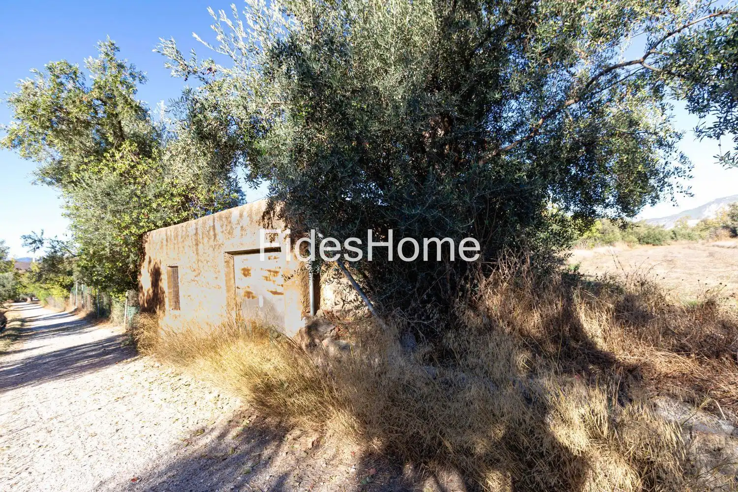 Rural land for sale in XFC2+FVQ Acequias 0, imagen 8