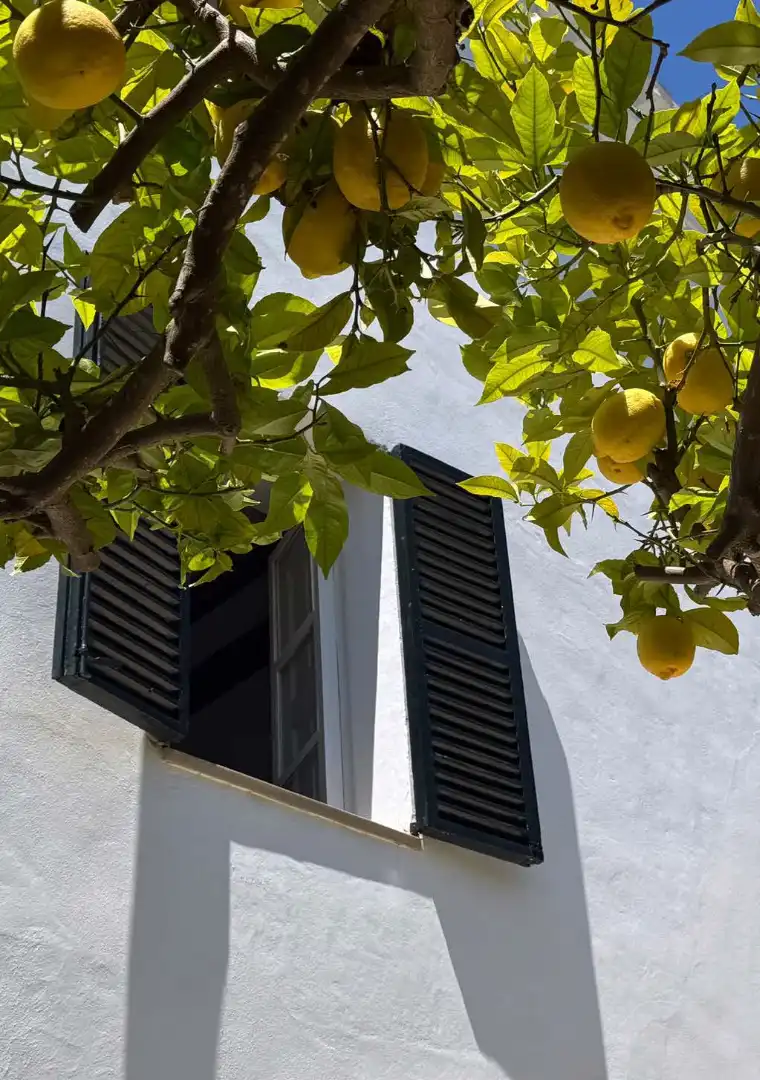 Villa mit Terrasse zum Verkauf in Ponent, imagen 26