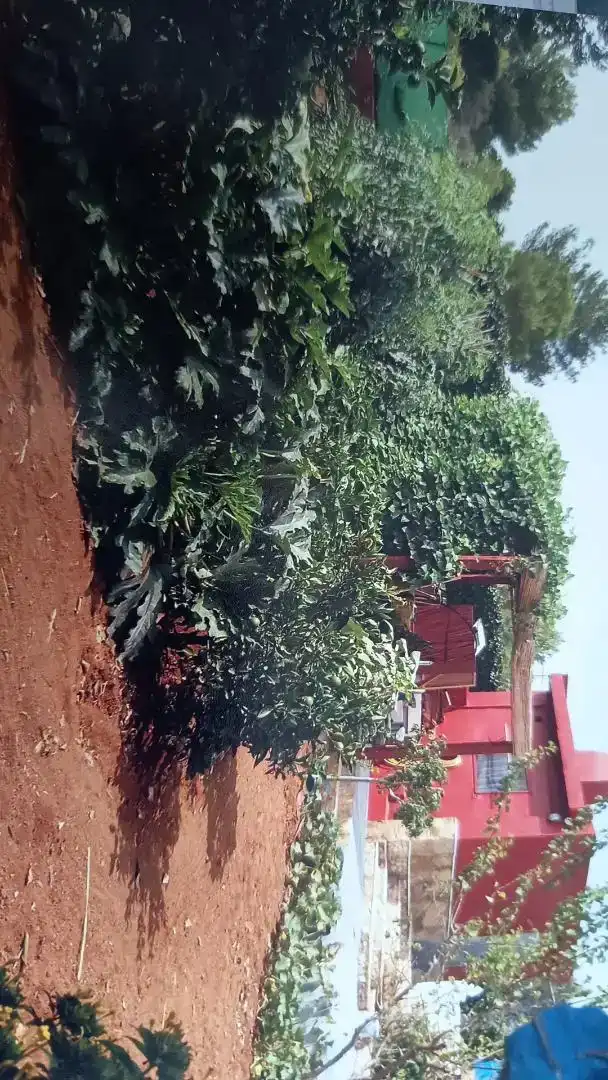 Finca rústica en venda en Torrent amb Balcó