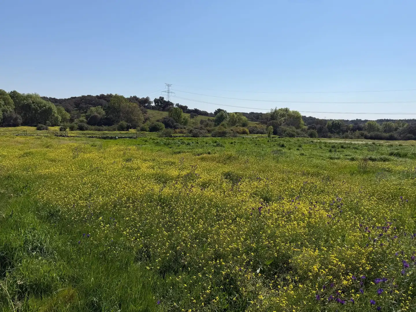 Terreno rustico in vendita a Malpartida de Plasencia
