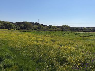 Rustikales Grundstück zum Verkauf in Malpartida de Plasencia
