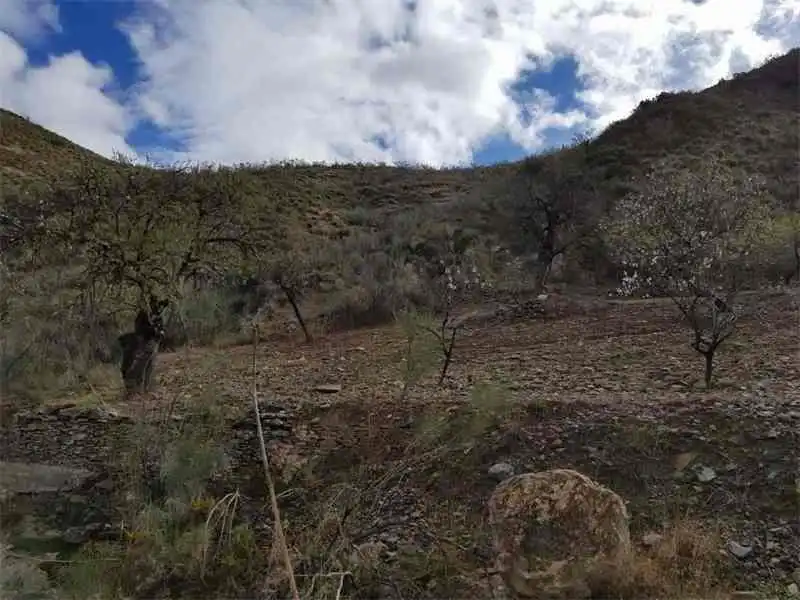 Grundstücke zum Verkauf in Albánchez