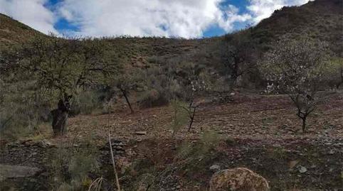 Foto 5 von Grundstücke zum Verkauf in Albánchez, Almería