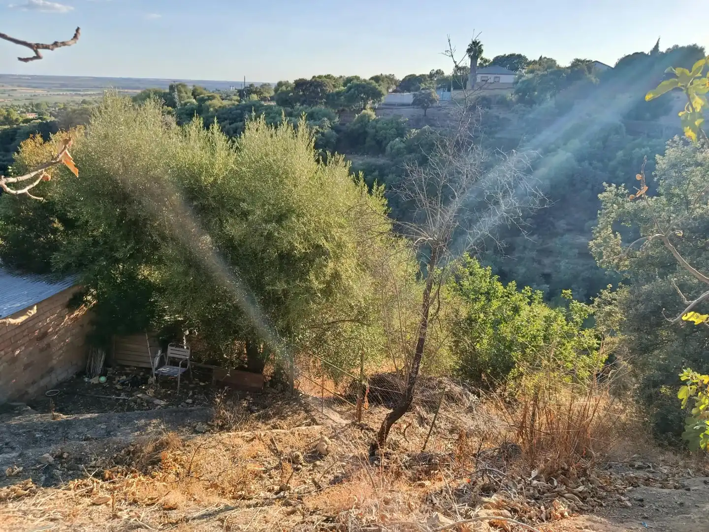 Villa mit Pool zum Verkauf in Calle la Cigarra Baja, imagen 5