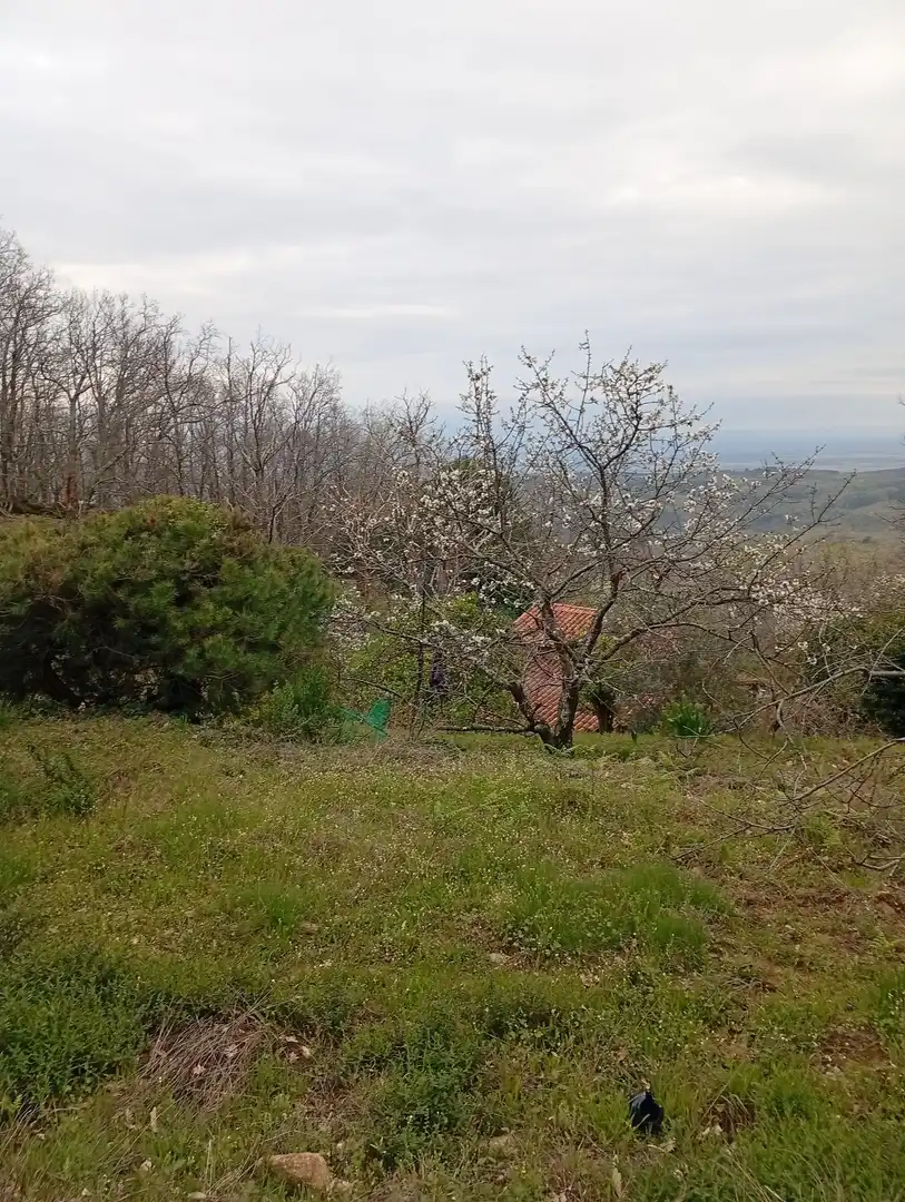Terreni e lotti in vendita a Valverde de la Vera, imagen 39