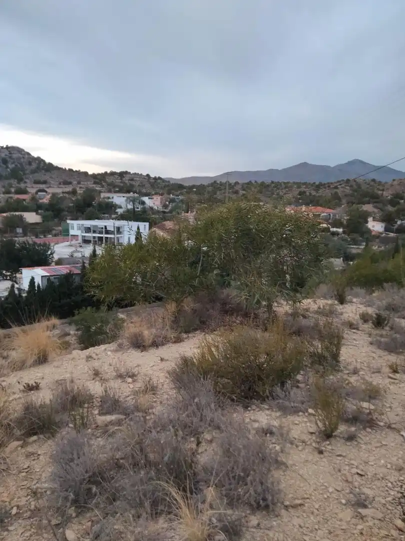 Wohnbaugrundstück zum Verkauf in Partidas de Alicante, imagen 2