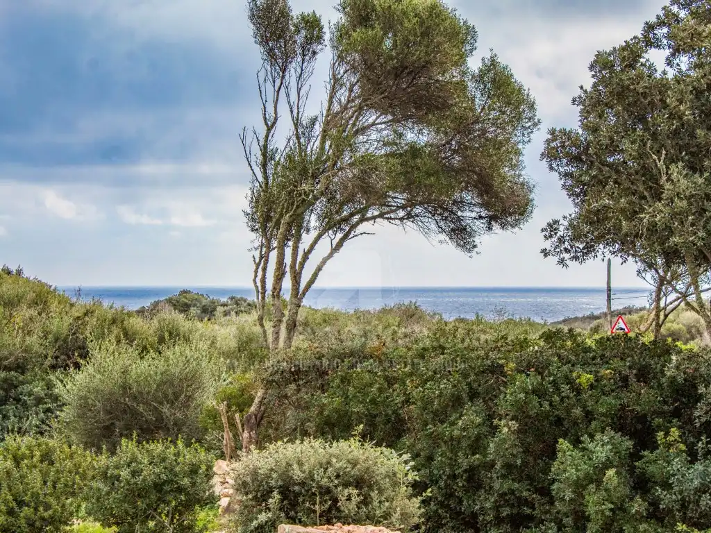 Finca rústica en venta en S'Algar - Alcaufar