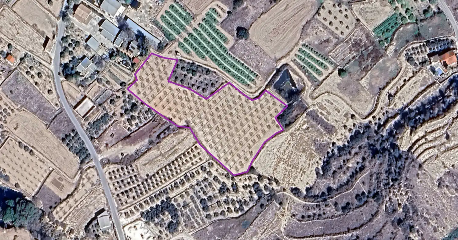 Lands and plots for sale in Pliego, imagen 2