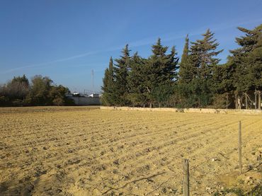 Terreno rustico in vendita a Carretera del Marquesado