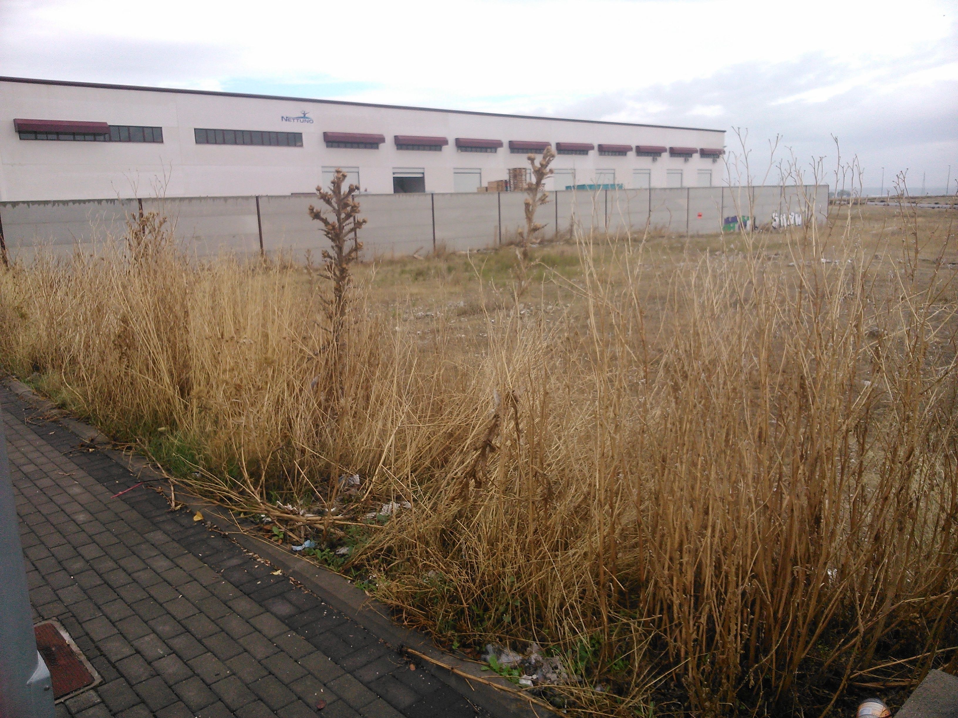 Industrial land to rent in Ciempozuelos