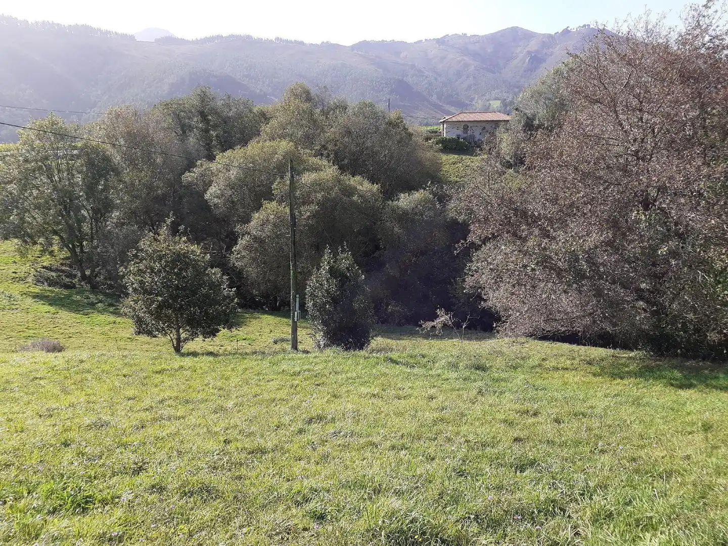Terreny rústic en venda a Ribadesella, imagen 7