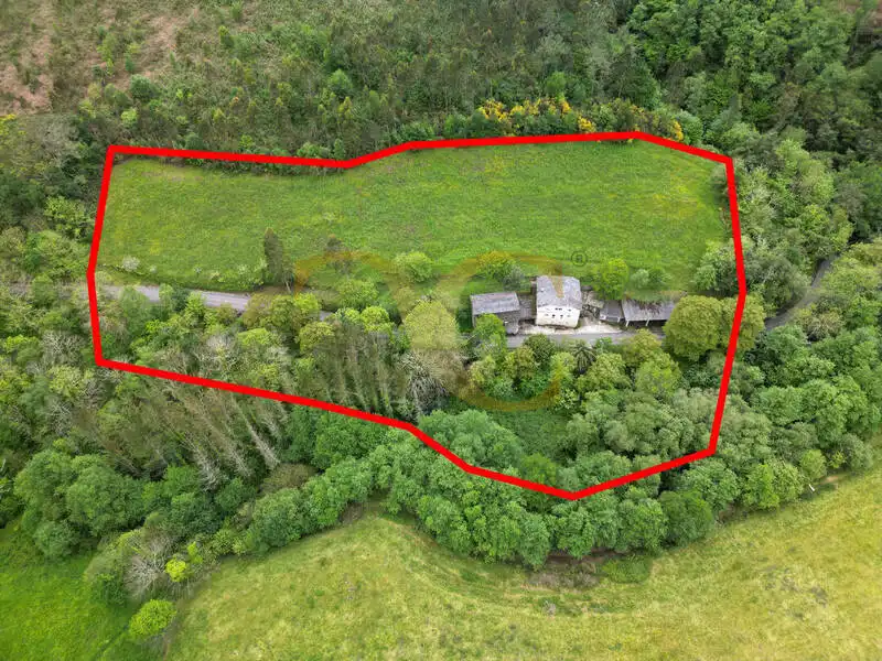 Casa o chalet en venta en Coaña