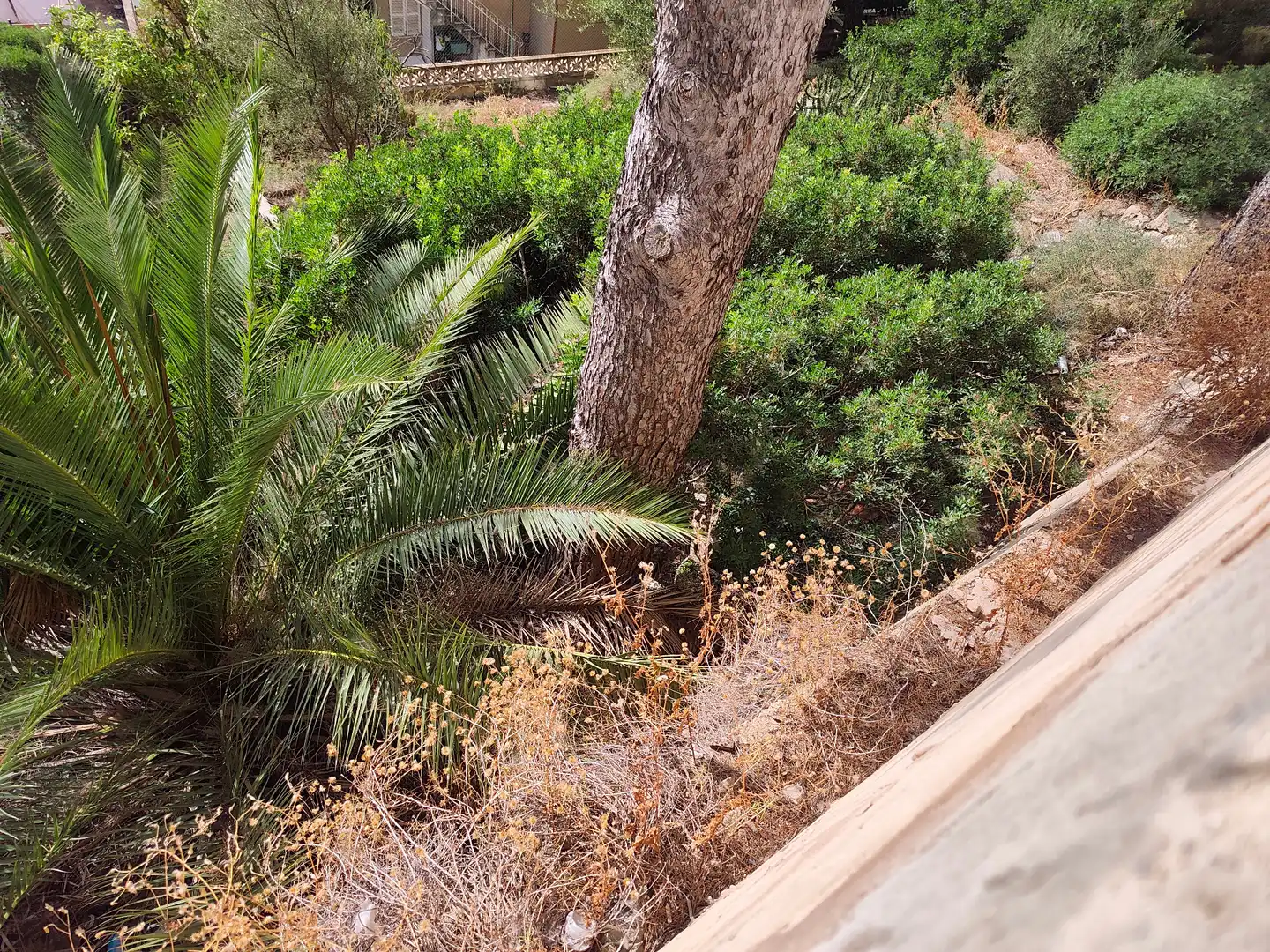 Jardín de Residencial en venta en  Palma de Mallorca