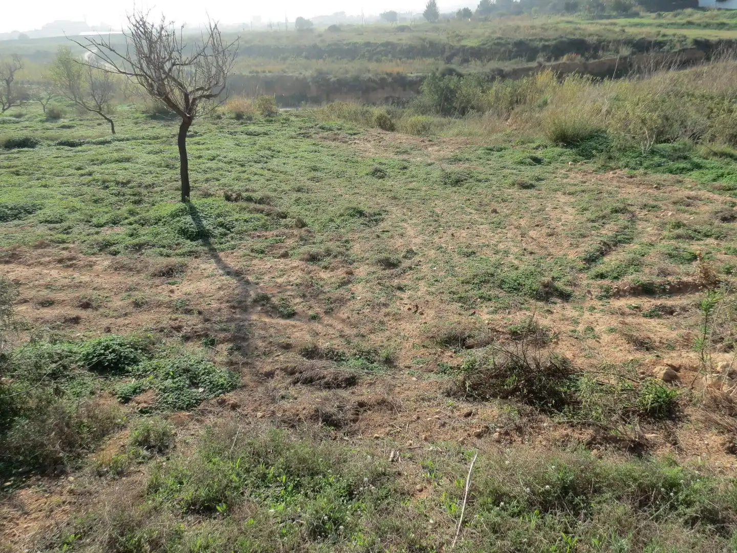 Terreni e lotti in vendita a Pedanías Oeste, imagen 14
