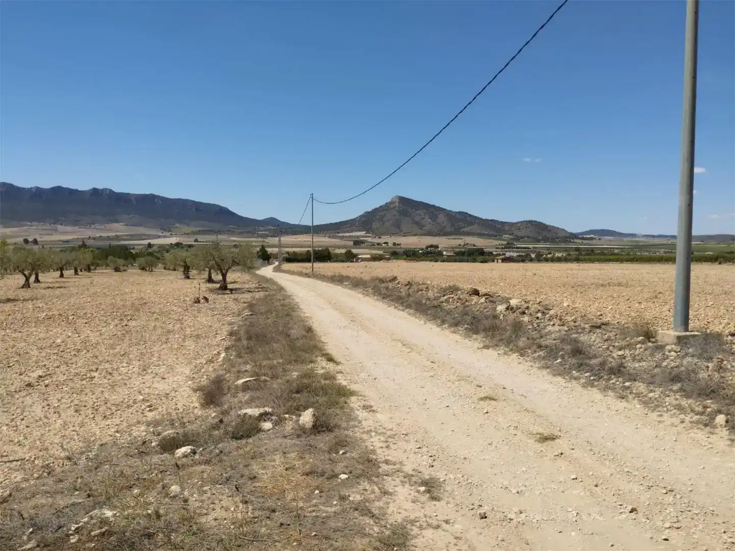Terreno en venta en Montealegre del Castillo, Albacete