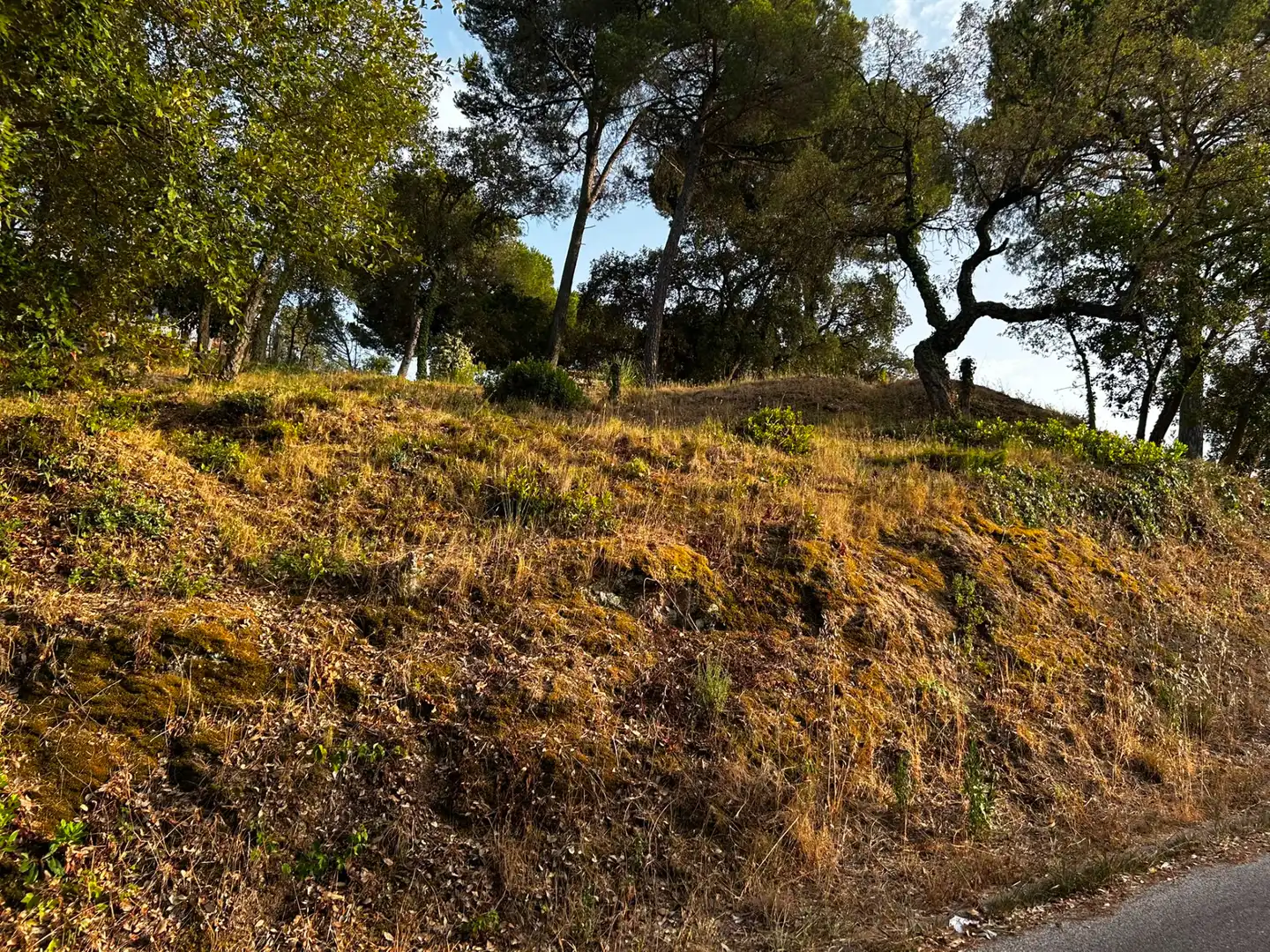 Terreno residencial en venta en Mas Mora - Sant Daniel, imagen 3