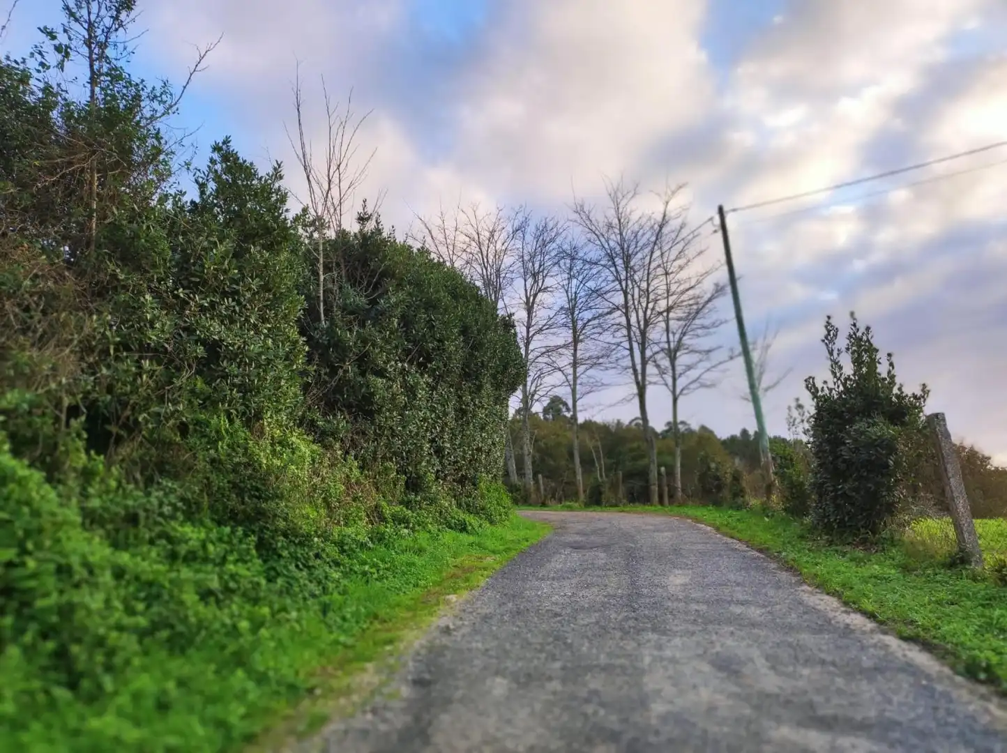 Finca rústica en venta en A Estrada 