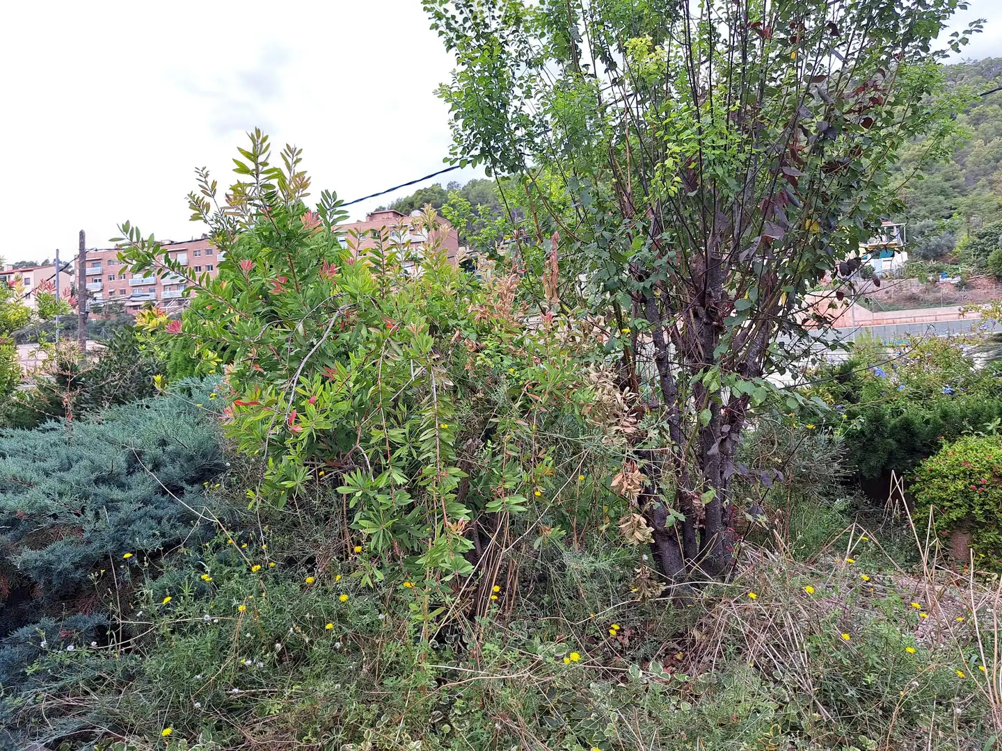 House with terrace for sale in Carrer de Lluís Millet, imagen 42