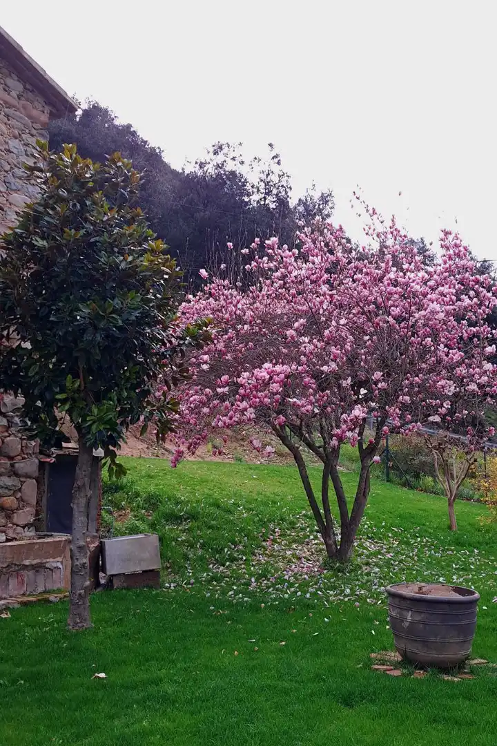 Casa rustica in vendita a Sant Gregori, imagen 4