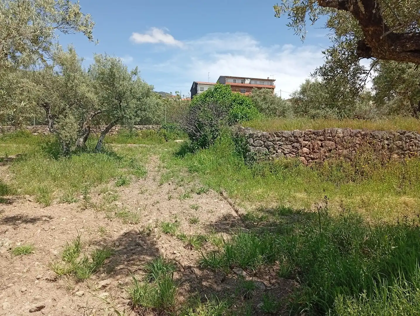 Terreni e lotti in vendita a Villanueva de la Vera, imagen 36