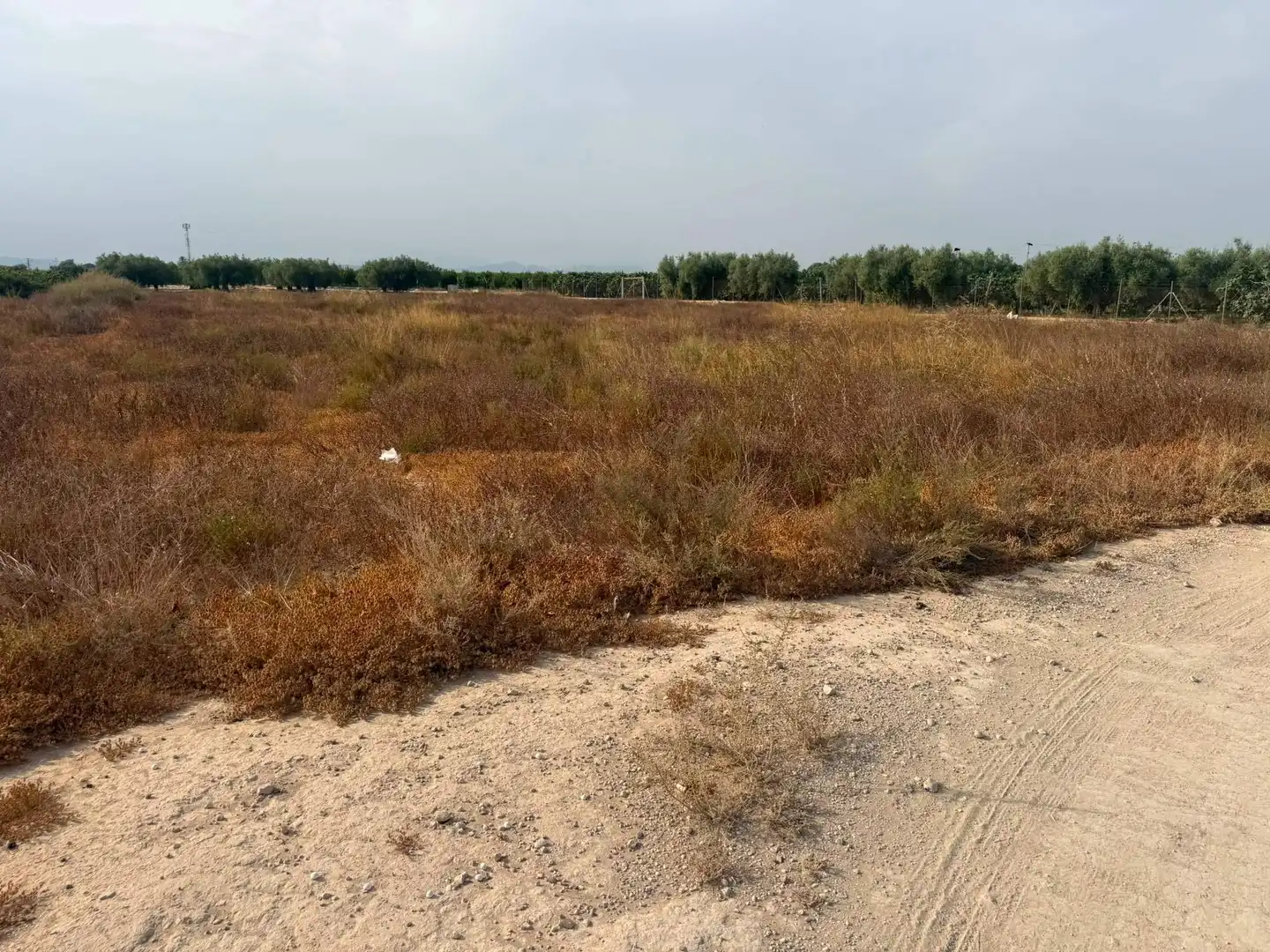 Terreno residencial en venta en Elche ciudad, imagen 2