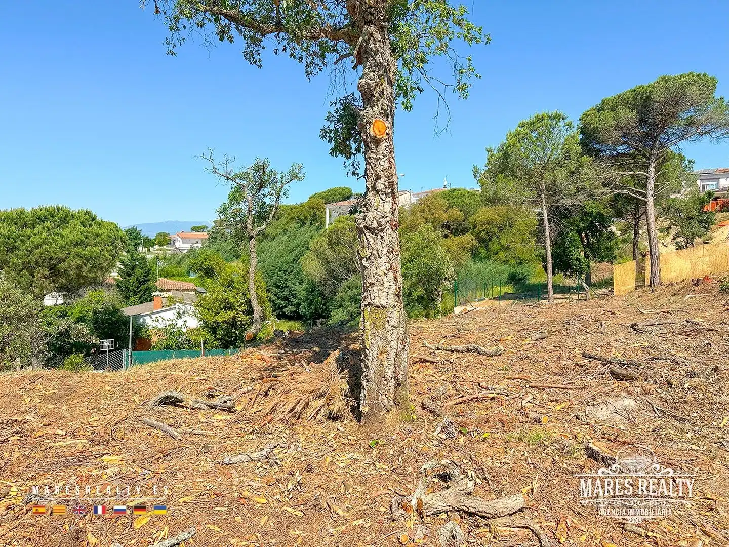 Terrenos y solares en venta en Garceran, imagen 26