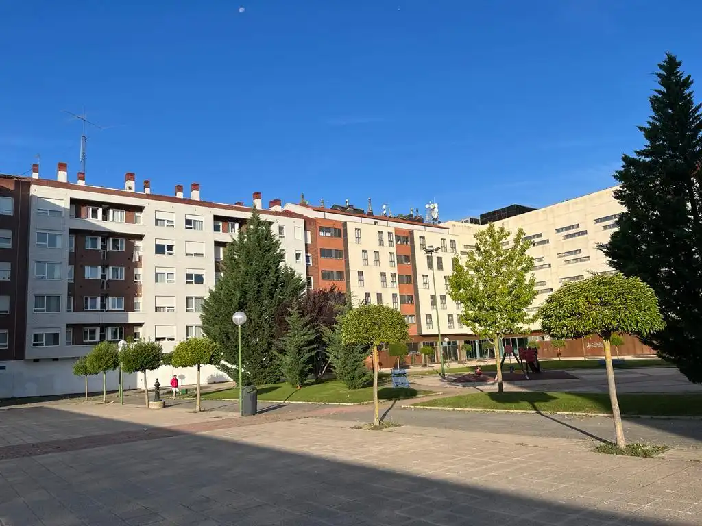 Gewerbefläche zur Miete in De Alfonso Xi, imagen 3