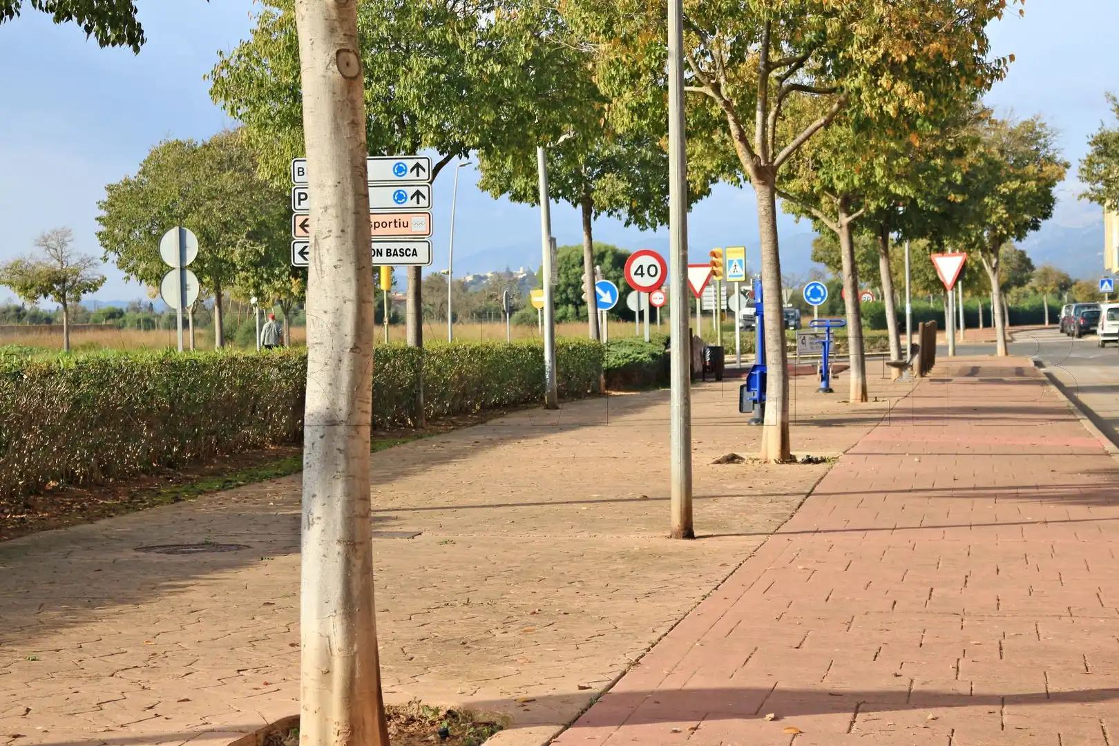 Terrenys i solars en venda a Sa Pobla, imagen 9
